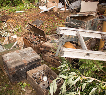 garden clearance